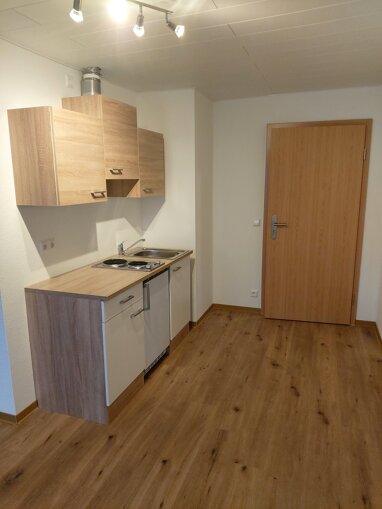 Wohnung zur Miete 470 € 1 Zimmer 40 m² Descostr. 4 Ittersbach Karlsbad 76307