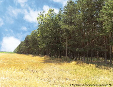 Land-/Forstwirtschaft zum Kauf 12.500 € 30.315 m² Grundstück Schwanheide Schwanheide 19258