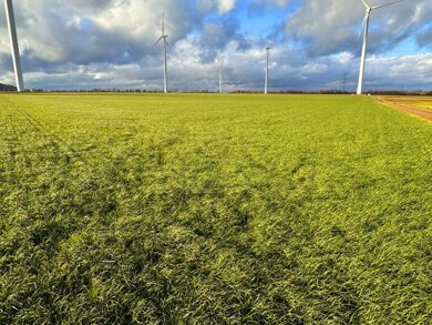 Landwirtschaftliche Fläche zum Kauf 28.358 m² 28.358 m² Grundstück Jülich Jülich 52428