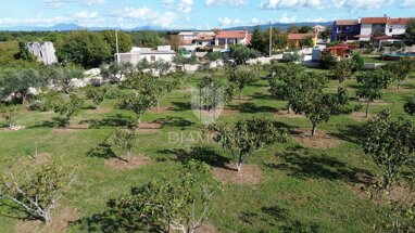 Land-/Forstwirtschaft zum Kauf 83.000 € Marcana center 52206