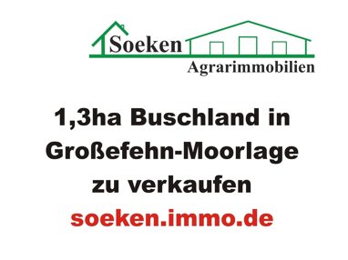 Freizeitgrundstück zum Kauf 13.000 € 13.984 m² Grundstück Aurich-Oldendorf Großefehn 26629
