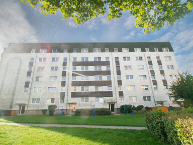 Wohnung zur Miete 255 € 1 Zimmer 36,5 m² EG frei ab 01.02.2025 Georg-Dreke-Ring 55d Prenzlau Prenzlau 17291