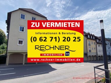 Wohnung zur Miete 450 € 2 Zimmer 64 m² Eberbach Eberbach 69412