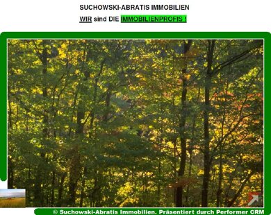 Land-/Forstwirtschaft zum Kauf 169.000 € 119.844 m² Grundstück Wölmsdorf Niedergörsdorf 14913