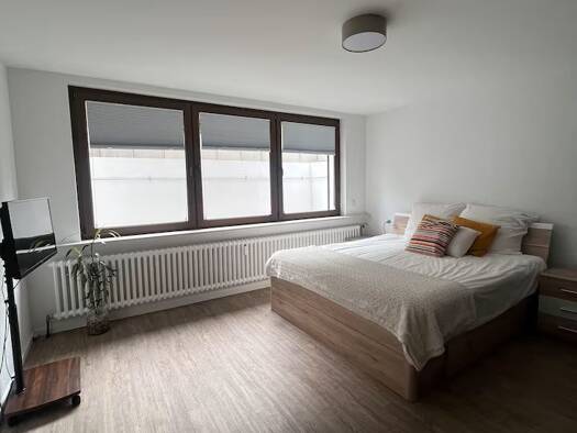 Studio zur Miete 640 € 1 Zimmer 62 m² frei ab 15.01.2026 Pfalzel Trier 54293