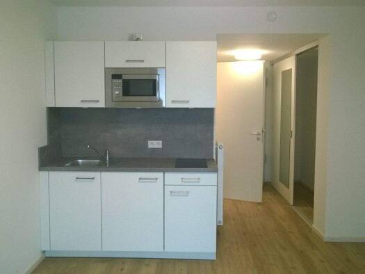 Wohnung zur Miete 340 € 1 Zimmer 25,2 m² 2. Geschoss frei ab 16.02.2026 Kopernikusstraße 7B Nordstadt Hannover 30167