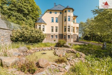 Villa zum Kauf 795.000 € 9 Zimmer 458,6 m² 15.113 m² Grundstück Buchholz Annaberg-Buchholz 09456