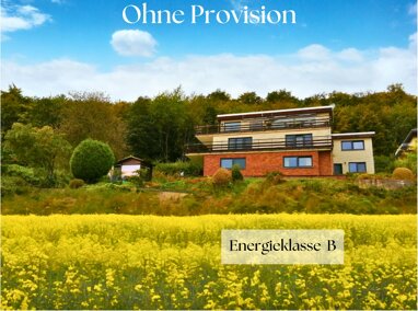 Mehrfamilienhaus zum Kauf Provisionsfrei 449.000 € 11 Zimmer 435 m² 1.027 m² Grundstück Laßbruch Extertal 32699