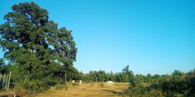 Land-/Forstwirtschaft zum Kauf 600.000 € Svetvincenat center