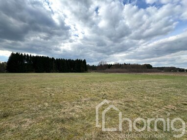 Land-/Forstwirtschaft zum Kauf 1.999 € 2.988 m² Grundstück Wiesenau 15295