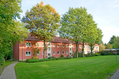 Wohnung zur Miete 365 € 2 Zimmer 43,2 m² 1. Geschoss Lindenstraße 10 Tecklenburg Tecklenburg 49545