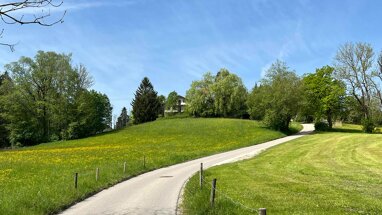 Land-/Forstwirtschaft zum Kauf 95.301 m² Grundstück Bernau Bernau am Chiemsee 83233