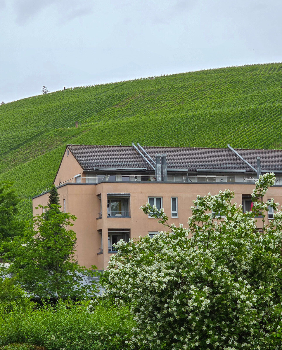 Wohnung zum Kauf 289.000 € 2 Zimmer 78 m²<br/>Wohnfläche Untertürkheim Stuttgart / Obertürkheim 70329