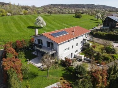 Mehrfamilienhaus zum Kauf 1.985.000 € 11 Zimmer 394,9 m² 1.168 m² Grundstück Öhningen Öhningen 78337