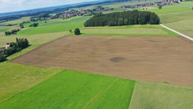 Land-/Forstwirtschaft zum Kauf 365.000 € 50.000 m² Vilgertshofen Vilgertshofen 86946