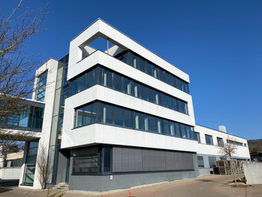 Bürofläche zur Miete 988 m² Bürofläche teilbar ab 167 m² Steinheim Steinheim 89555