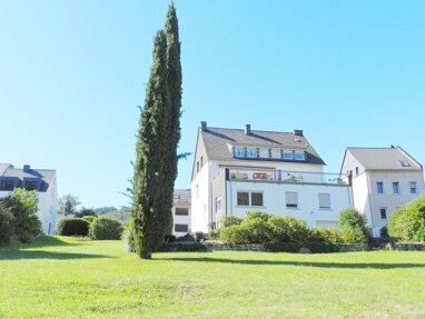Mehrfamilienhaus zum Kauf 490.000 € 14 Zimmer 340 m² 996 m² Grundstück Traben Traben-Trarbach / Traben 56841