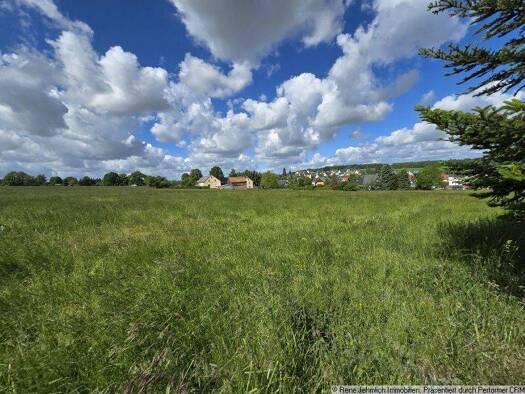 Grundstück zum Kauf 100.000 € 1.000 m² Grundstück Taura 09249