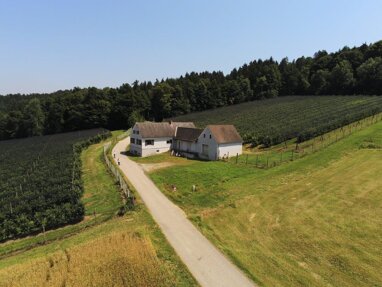 Bauernhof zum Kauf 375.000 € 60.500 m² Grundstück Ungerdorf 8200