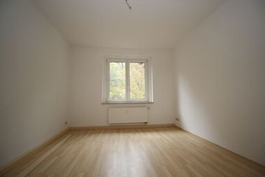 Wohnung zur Miete 294,98 € 2 Zimmer 60,2 m² 3. Geschoss Hainstraße 32 Bärenstein Plauen 08523