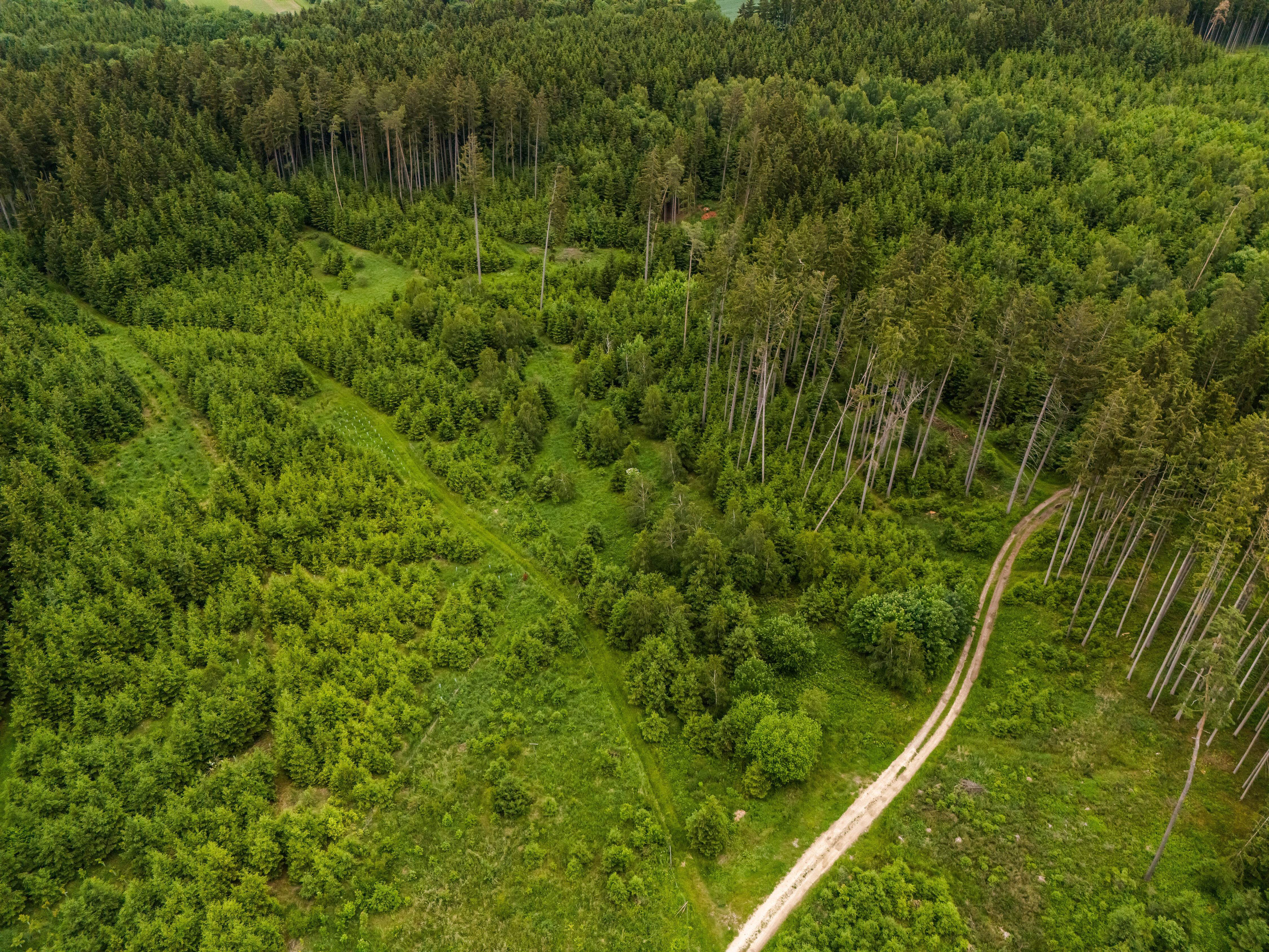 Land-/Forstwirtschaft zum Kauf 43.000 € 11.578 m²<br/>Grundstück Schierling Schierling 84069