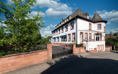 Mehrfamilienhaus zum Kauf 649.000 € 22 Zimmer 661 m² 1.000 m² Grundstück Hochspeyer 67691