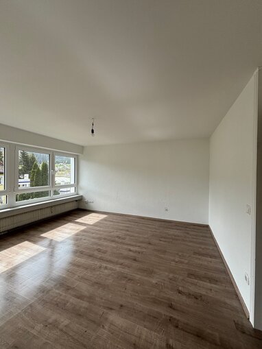 Wohnung zur Miete 650 € 2,5 Zimmer 53 m² 1. Geschoss Stadtgebiet Sankt Georgen im Schwarzwald 78112