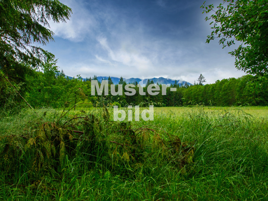 Grundstück zum Kauf 63.000 € 665 m² Grundstück Eiterbach Heiligkreuzsteinach 69253