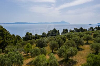 Landwirtschaftliche Fläche zum Kauf 385.000 € Agios Nikolaos