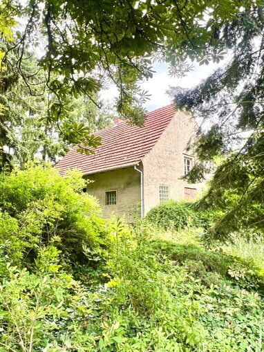 Einfamilienhaus zum Kauf 219.000 € 5 Zimmer 100 m² 2.908 m² Grundstück Barsdorf Fürstenberg/Havel 16798