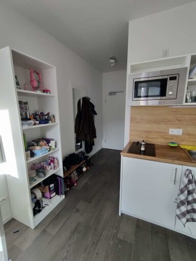 Wohnung zur Miete 510 € 1 Zimmer 29 m² Zugallistraße 11 Salzburg Salzburg(Stadt) 5020