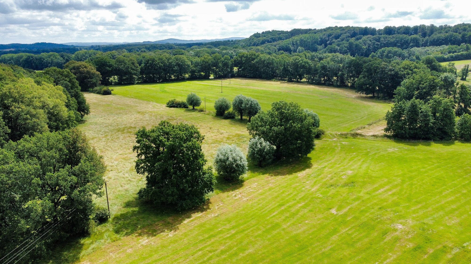 Land-/Forstwirtschaft zum Kauf 453.000 € 81.784 m²<br/>Grundstück Ledde Tecklenburg 49545