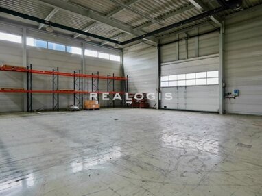 Halle/Industriefläche zur Miete Provisionsfrei 950 m² Lagerfläche teilbar ab 400 m² Langquaid Langquaid 84085