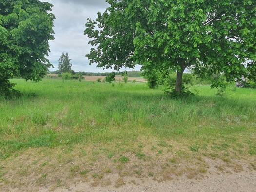 Einfamilienhaus zum Kauf 348.270 € 5 Zimmer 145 m² 2.121 m² Grundstück Ihlow Oberbarnim 15377