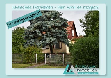Einfamilienhaus zum Kauf 199.000 € 3 Zimmer 66 m² 1.340 m² Grundstück Flieth-Stegelitz 17268