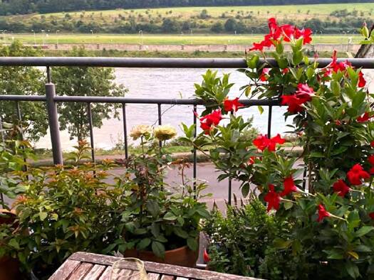 Einfamilienhaus zum Kauf 199.500 € 4 Zimmer 73 m² 53 m² Grundstück Rachtig Zeltingen-Rachtig 54492