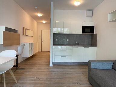 Wohnung zur Miete 470 € 1 Zimmer 30,1 m² frei ab 01.02.2025 Von-Groote-Platz 24 Godesberg-Villenviertel Bonn 53173