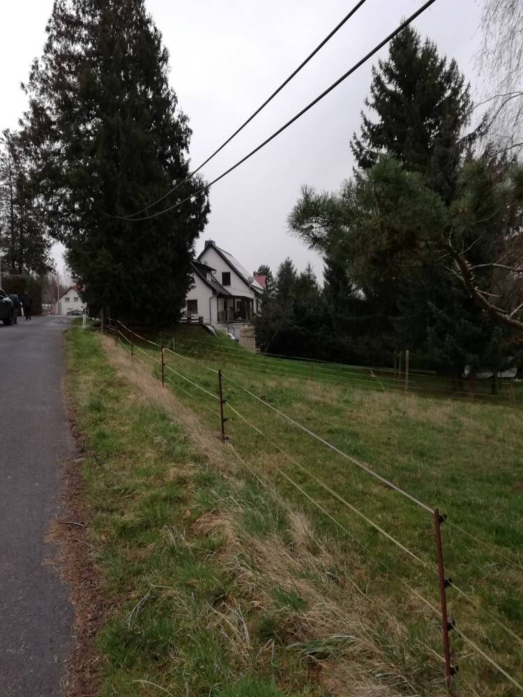 Immobilie in Mügeln - Ihr Traumhaus in Sornzig/Lichteneichen – Jetzt mit ScanHaus planen! - Bild 4