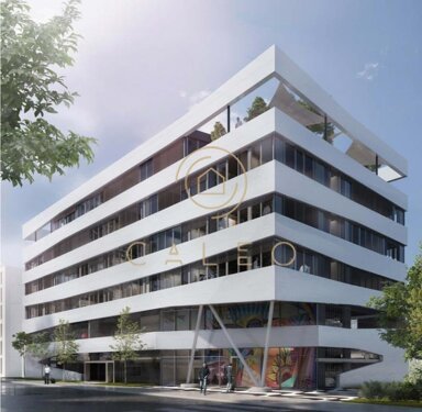 Bürofläche zur Miete provisionsfrei 17 € 4.036 m² Bürofläche teilbar ab 862 m² Kaiserlei Offenbach am Main 63067