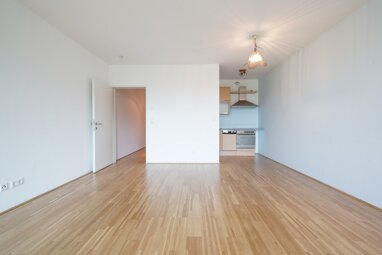 Wohnung zur Miete 484,77 € 1 Zimmer 49 m² Erdgeschoss Burgergasse Ernsthofen 4432