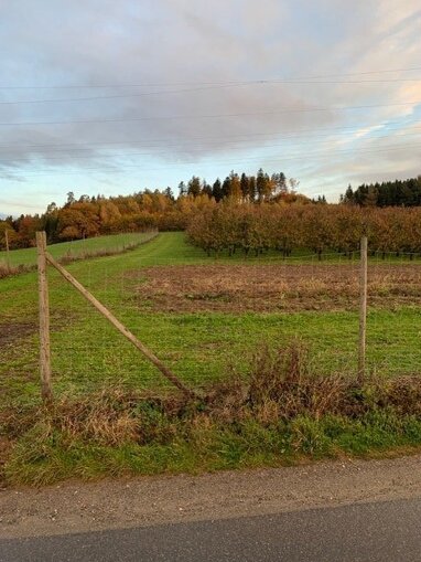 Grundstück zum Kauf provisionsfrei 67.294 m² Grundstück Ottershofen  8 Grünkraut Grünkraut 88287