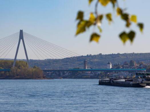 Mehrfamilienhaus zum Kauf als Kapitalanlage geeignet 11.000.000 € Mitte Koblenz 56068