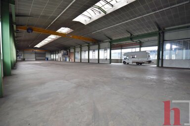 Lagerhalle zur Miete 14.500 € 4.000 m² Lagerfläche Stukenborg Vechta 49377