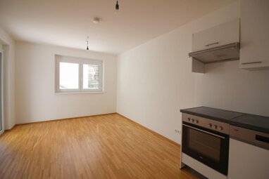 Wohnung zur Miete 625 € 2 Zimmer 45,3 m² 1. Geschoss Lagergasse 35 Gries Graz 8020