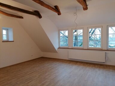 Wohnung zur Miete 525 € 1 Zimmer 55 m² 1. Geschoss frei ab 01.11.2024 Alfhausen Alfhausen 49594