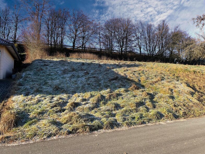 Grundstück zum Kauf 60.000 € 537 m² Grundstück frei ab sofort Weselberg Weselberg 66919