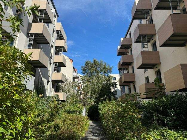 Wohnung zur Miete 354 € 1 Zimmer 23,6 m² 4. Geschoss Hechtstraße 40 Leipziger Vorstadt Dresden-Leipziger Vorstadt 01097