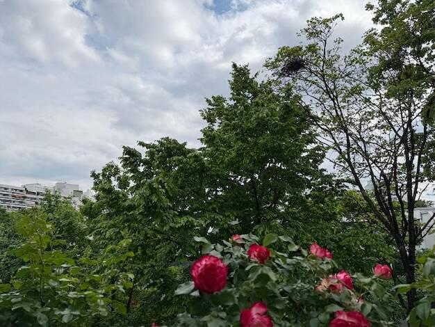 Wohnung zum Kauf 699.000 € 3,5 Zimmer 116 m² Am Riesenfeld München 80809