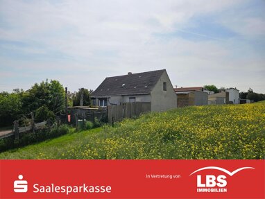 Einfamilienhaus zum Kauf 74.000 € 4 Zimmer 110 m² 482 m² Grundstück Teutschenthal Teutschenthal 06179
