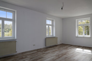 Wohnung zur Miete 576 € 3 Zimmer 82,4 m² 2. Geschoss Tannendorfstraße 12 Greiz Greiz 07973